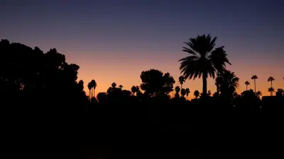 a sunset with palm trees in the foreground at Riad Nafis in Marrakech