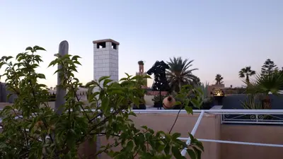 a view of a rooftop with a chimney and plants at Riad Nafis in Marrakech