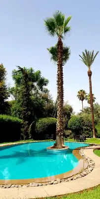 a palm tree in the middle of a swimming pool at The Red House in Marrakech